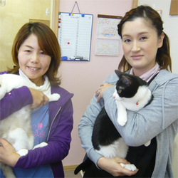 いぬ ねこ日和 で素敵な癒しを体験してみられませんか 株式会社浜村建設 いぬ ねこ日和 で素敵な癒しを体験してみられませんか 株式会社浜村建設